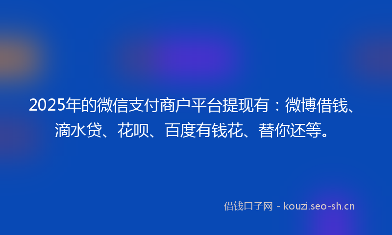 2025年的微信支付商户平台提现有：微博借钱、滴水贷、花呗、百度有钱花、替你还等。