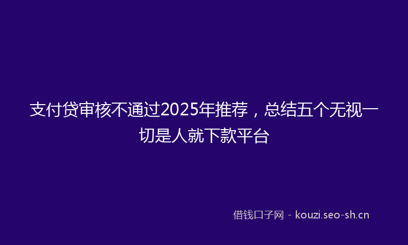 支付贷审核不通过2025年推荐，总结五个无视一切是人就下款平台