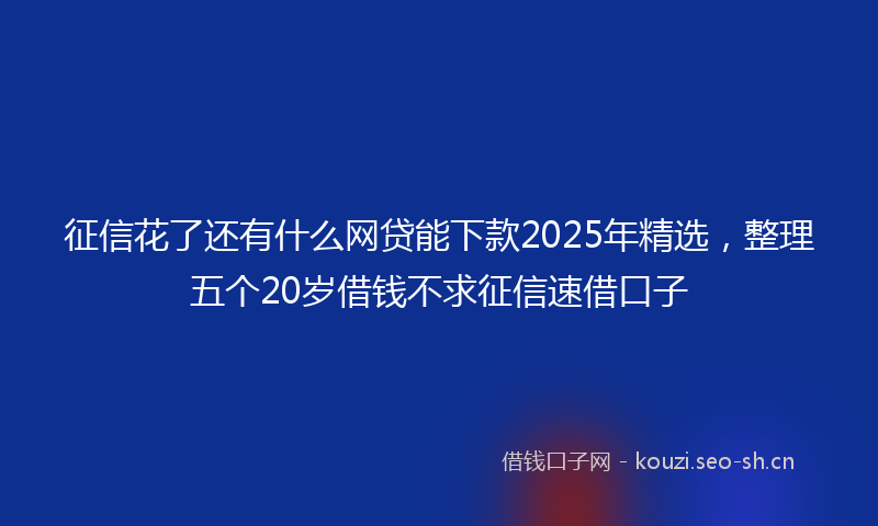 征信花了还有什么网贷能下款2025年精选，整理五个20岁借钱不求征信速借口子