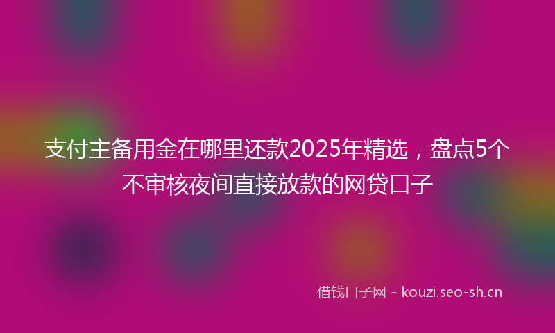 支付主备用金在哪里还款2025年精选，盘点5个不审核夜间直接放款的网贷口子
