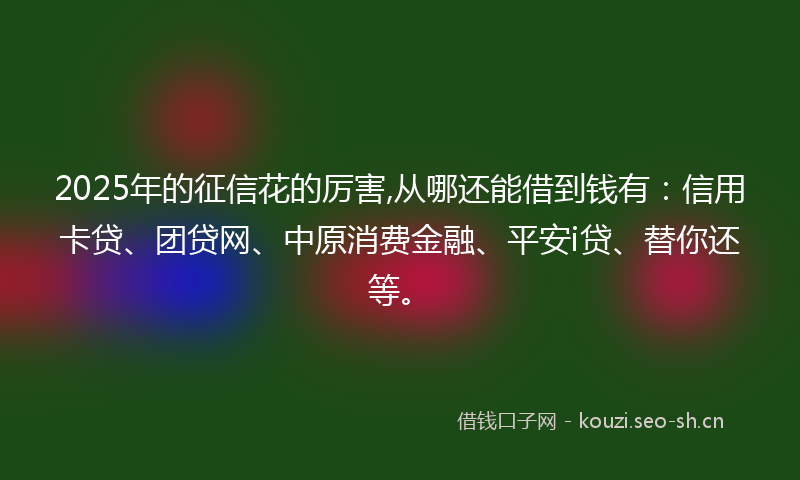 2025年的征信花的厉害,从哪还能借到钱有：信用卡贷、团贷网、中原消费金融、平安i贷、替你还等。
