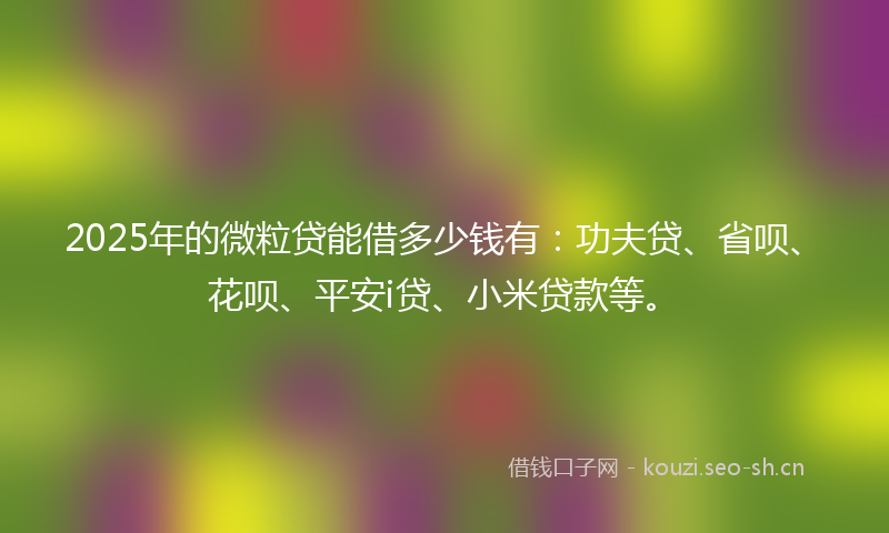 2025年的微粒贷能借多少钱有：功夫贷、省呗、花呗、平安i贷、小米贷款等。