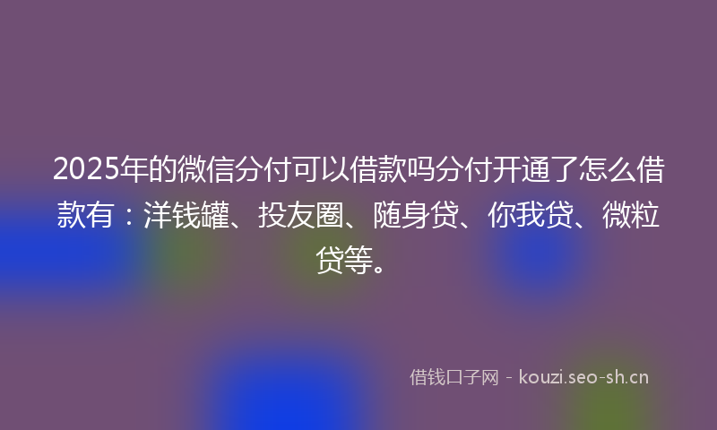 2025年的微信分付可以借款吗分付开通了怎么借款有：洋钱罐、投友圈、随身贷、你我贷、微粒贷等。