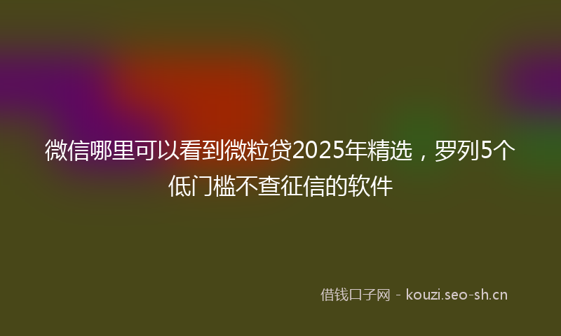 微信哪里可以看到微粒贷2025年精选，罗列5个低门槛不查征信的软件