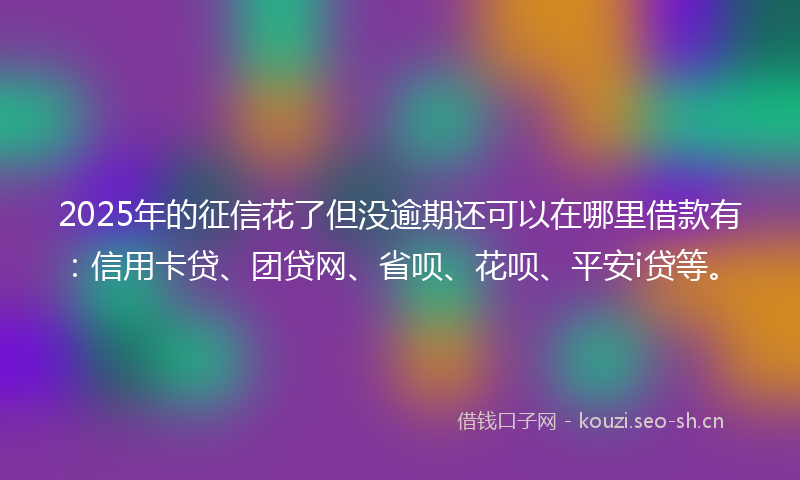 2025年的征信花了但没逾期还可以在哪里借款有：信用卡贷、团贷网、省呗、花呗、平安i贷等。