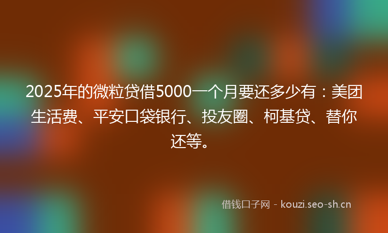 2025年的微粒贷借5000一个月要还多少有：美团生活费、平安口袋银行、投友圈、柯基贷、替你还等。