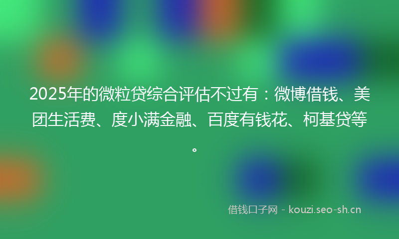 2025年的微粒贷综合评估不过有：微博借钱、美团生活费、度小满金融、百度有钱花、柯基贷等。