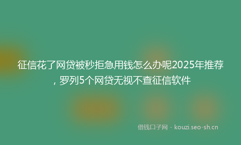 征信花了网贷被秒拒急用钱怎么办呢2025年推荐，罗列5个网贷无视不查征信软件
