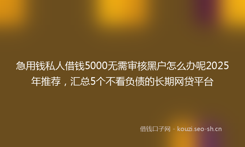 急用钱私人借钱5000无需审核黑户怎么办呢2025年推荐,汇总5个不看负债的长期网贷平台