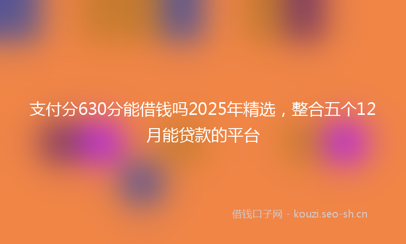 支付分630分能借钱吗2025年精选，整合五个12月能贷款的平台