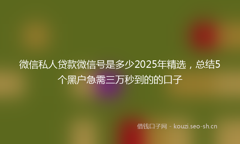 微信私人贷款微信号是多少2025年精选，总结5个黑户急需三万秒到的的口子