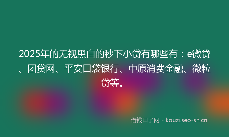 2025年的无视黑白的秒下小贷有哪些有：e微贷、团贷网、平安口袋银行、中原消费金融、微粒贷等。