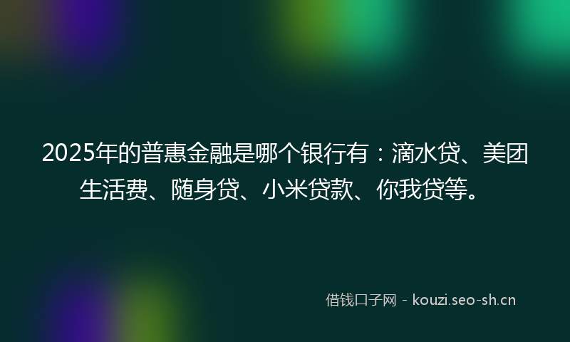 2025年的普惠金融是哪个银行有：滴水贷、美团生活费、随身贷、小米贷款、你我贷等。