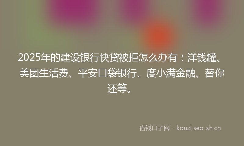 2025年的建设银行快贷被拒怎么办有：洋钱罐、美团生活费、平安口袋银行、度小满金融、替你还等。