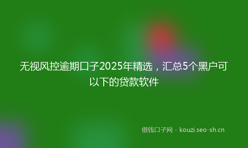 无视风控逾期口子2025年精选，汇总5个黑户可以下的贷款软件