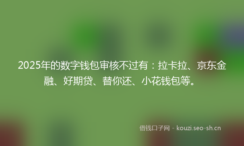2025年的数字钱包审核不过有：拉卡拉、京东金融、好期贷、替你还、小花钱包等。