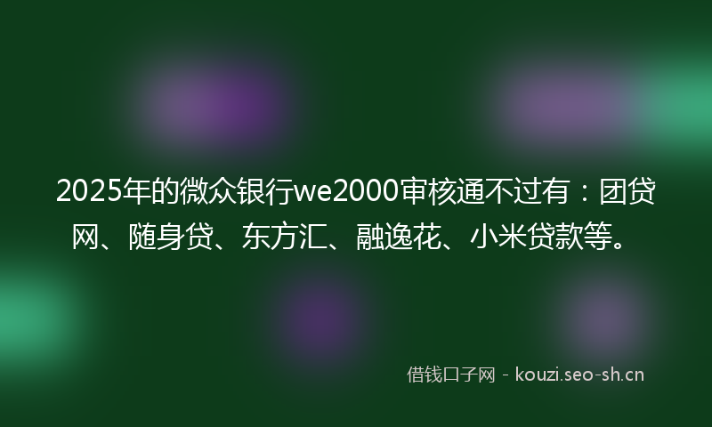 2025年的微众银行we2000审核通不过有：团贷网、随身贷、东方汇、融逸花、小米贷款等。