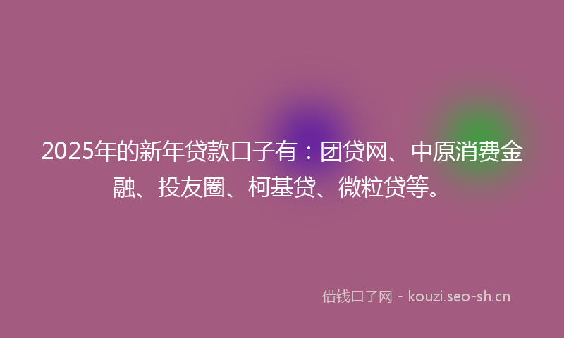 2025年的新年贷款口子有：团贷网、中原消费金融、投友圈、柯基贷、微粒贷等。