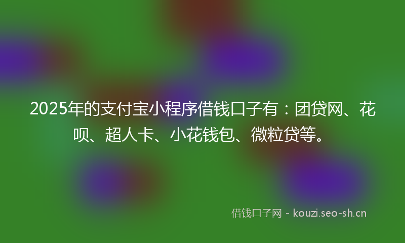 2025年的支付宝小程序借钱口子有：团贷网、花呗、超人卡、小花钱包、微粒贷等。