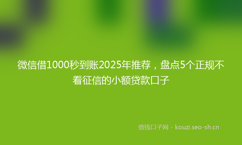 微信借1000秒到账2025年推荐，盘点5个正规不看征信的小额贷款口子