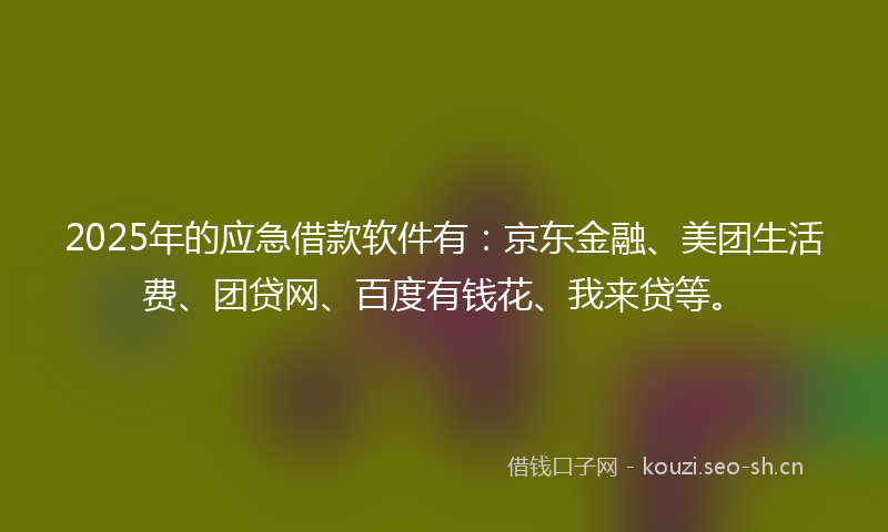 2025年的应急借款软件有：京东金融、美团生活费、团贷网、百度有钱花、我来贷等。