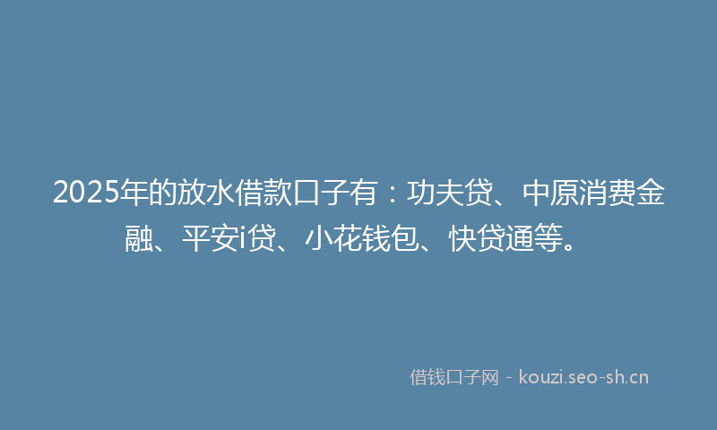 2025年的放水借款口子有：功夫贷、中原消费金融、平安i贷、小花钱包、快贷通等。