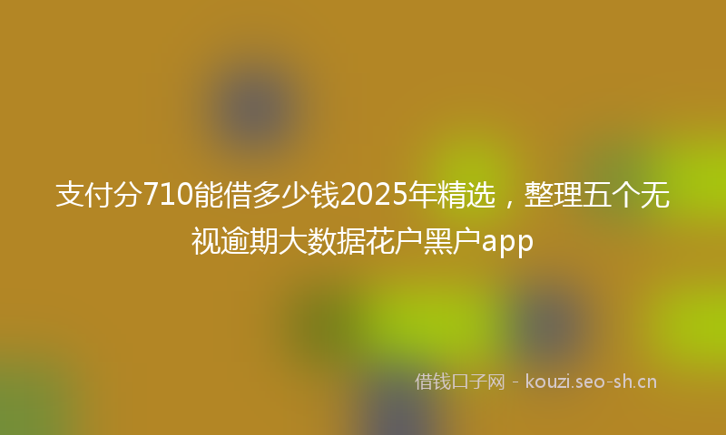 支付分710能借多少钱2025年精选，整理五个无视逾期大数据花户黑户app