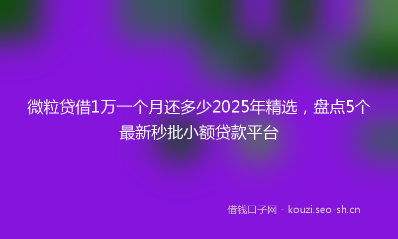 微粒贷借1万一个月还多少2025年精选，盘点5个最新秒批小额贷款平台