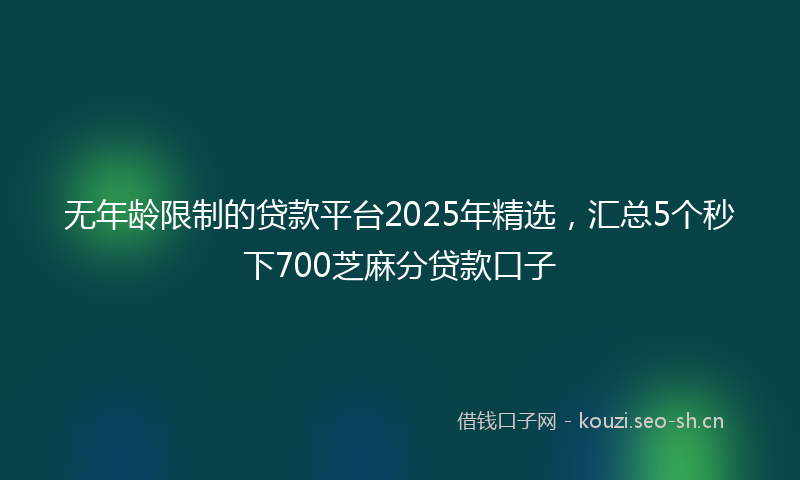 无年龄限制的贷款平台2025年精选，汇总5个秒下700芝麻分贷款口子