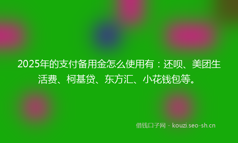 2025年的支付备用金怎么使用有：还呗、美团生活费、柯基贷、东方汇、小花钱包等。