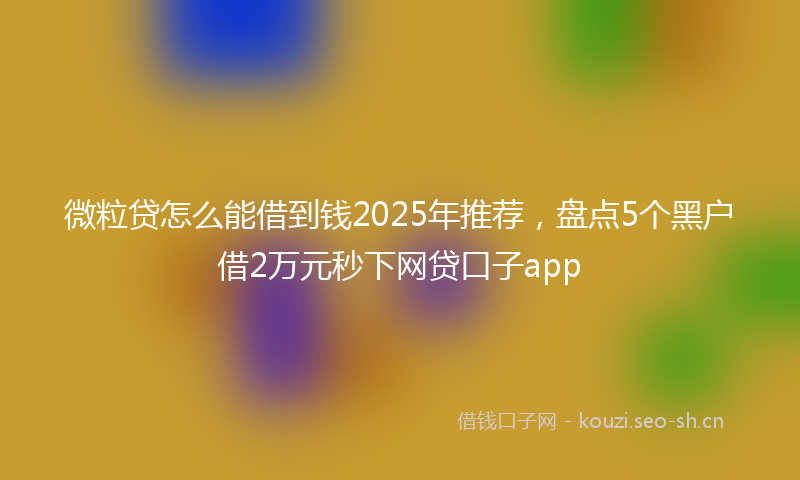 微粒贷怎么能借到钱2025年推荐，盘点5个黑户借2万元秒下网贷口子app