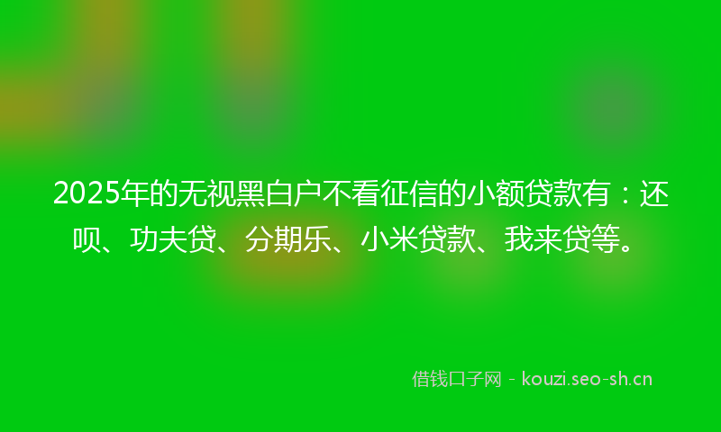 2025年的无视黑白户不看征信的小额贷款有：还呗、功夫贷、分期乐、小米贷款、我来贷等。