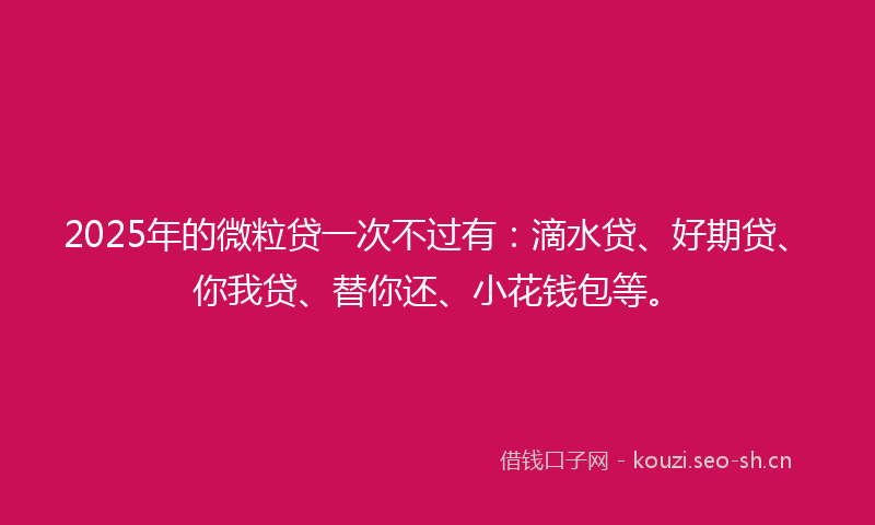 2025年的微粒贷一次不过有：滴水贷、好期贷、你我贷、替你还、小花钱包等。