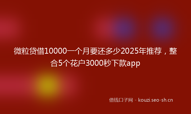 微粒贷借10000一个月要还多少2025年推荐，整合5个花户3000秒下款app