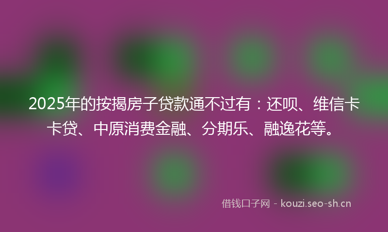 2025年的按揭房子贷款通不过有：还呗、维信卡卡贷、中原消费金融、分期乐、融逸花等。