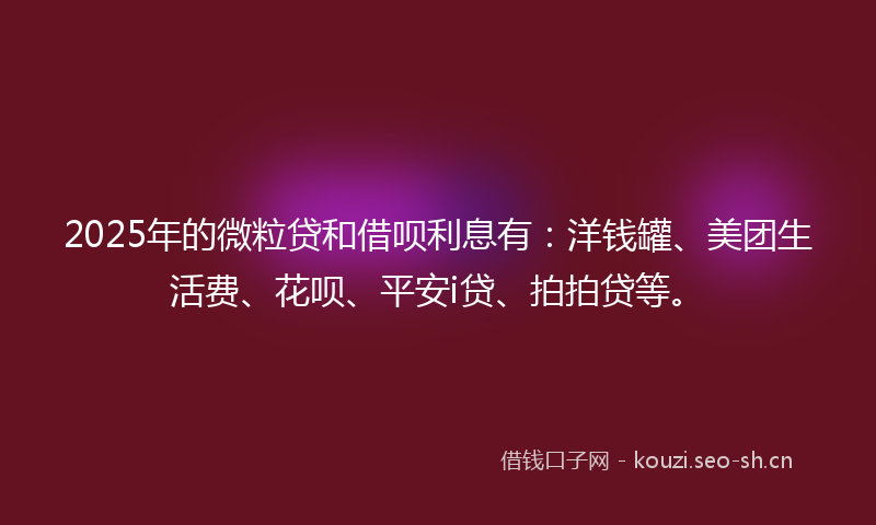 2025年的微粒贷和借呗利息有:洋钱罐、美团生活费、花呗、平安i贷、拍拍贷等。