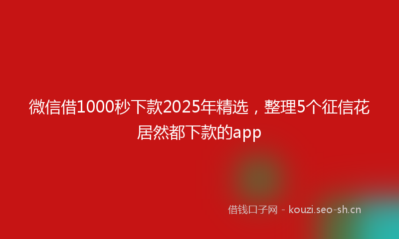 微信借1000秒下款2025年精选,整理5个征信花居然都下款的app