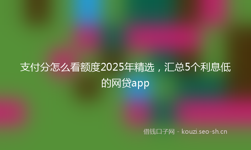 支付分怎么看额度2025年精选，汇总5个利息低的网贷app