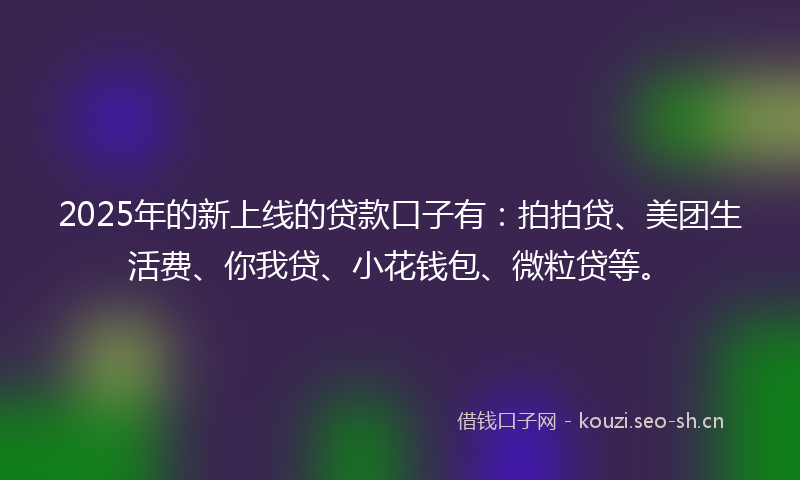 2025年的新上线的贷款口子有：拍拍贷、美团生活费、你我贷、小花钱包、微粒贷等。