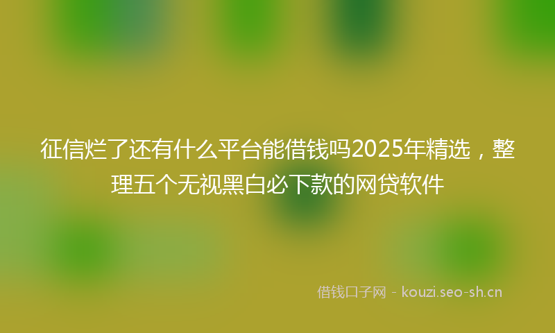 征信烂了还有什么平台能借钱吗2025年精选，整理五个无视黑白必下款的网贷软件
