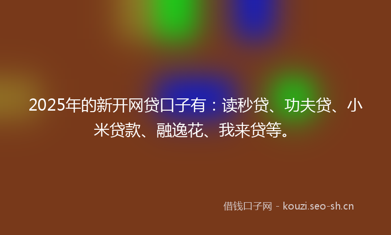 2025年的新开网贷口子有：读秒贷、功夫贷、小米贷款、融逸花、我来贷等。