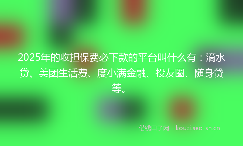 2025年的收担保费必下款的平台叫什么有：滴水贷、美团生活费、度小满金融、投友圈、随身贷等。