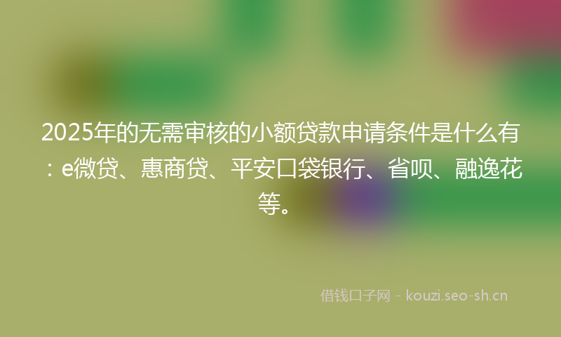 2025年的无需审核的小额贷款申请条件是什么有：e微贷、惠商贷、平安口袋银行、省呗、融逸花等。