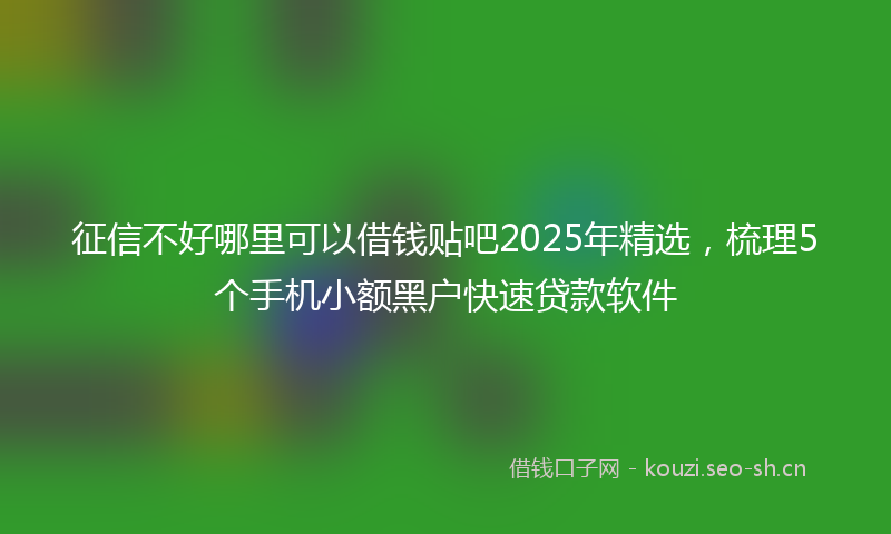 征信不好哪里可以借钱贴吧2025年精选，梳理5个手机小额黑户快速贷款软件