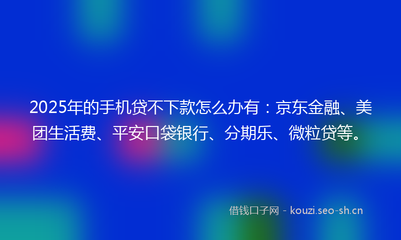 2025年的手机贷不下款怎么办有：京东金融、美团生活费、平安口袋银行、分期乐、微粒贷等。