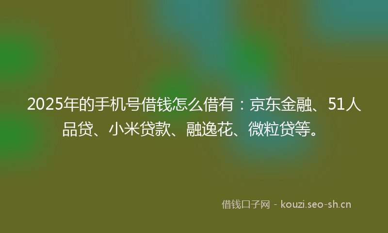 2025年的手机号借钱怎么借有：京东金融、51人品贷、小米贷款、融逸花、微粒贷等。
