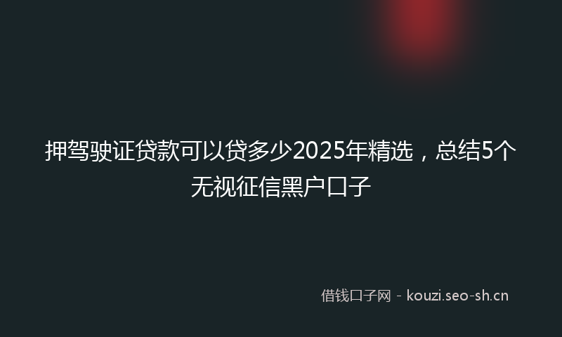押驾驶证贷款可以贷多少2025年精选，总结5个无视征信黑户口子