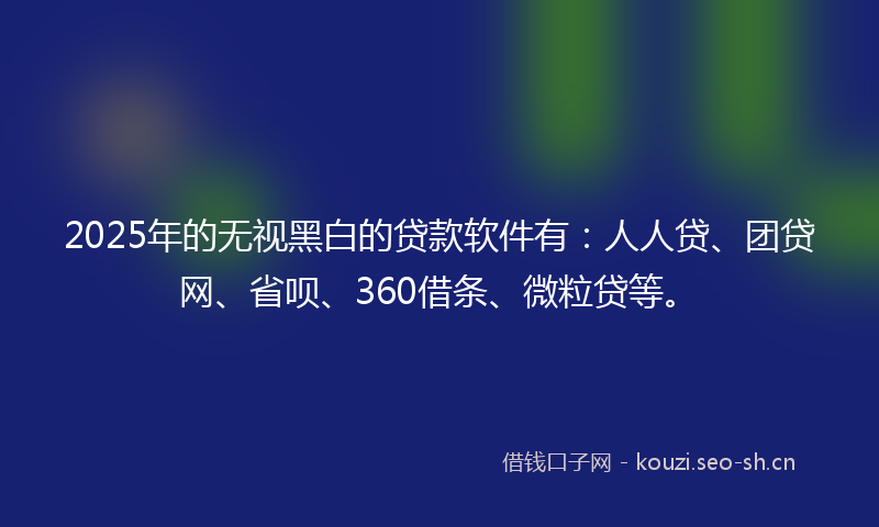 2025年的无视黑白的贷款软件有：人人贷、团贷网、省呗、360借条、微粒贷等。