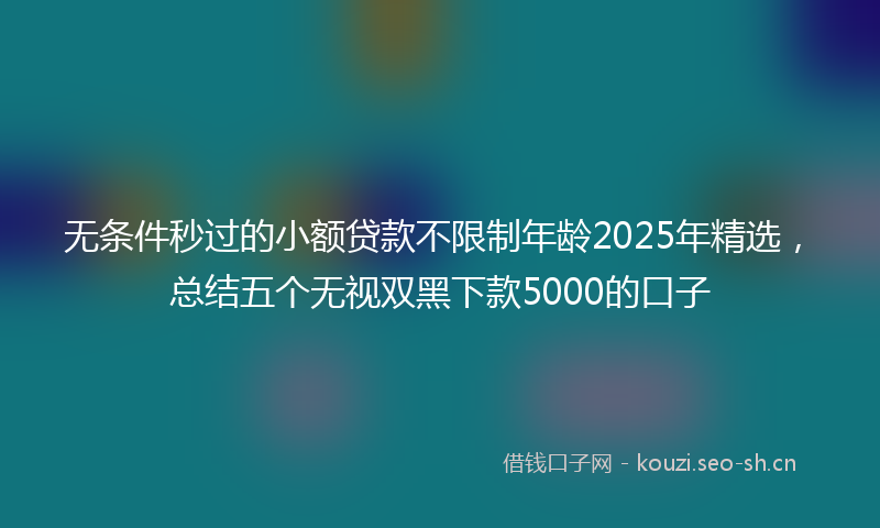 无条件秒过的小额贷款不限制年龄2025年精选，总结五个无视双黑下款5000的口子