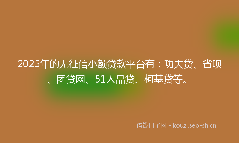 2025年的无征信小额贷款平台有：功夫贷、省呗、团贷网、51人品贷、柯基贷等。